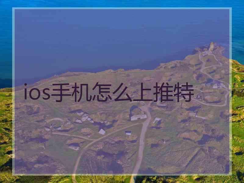 ios手机怎么上推特